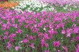 サムネイル地点画像02