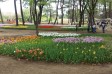 サムネイル地点画像01