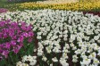 サムネイル地点画像03