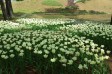 サムネイル地点画像04