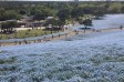 サムネイル地点画像02