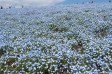 サムネイル地点画像05