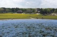 サムネイル地点画像04