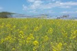 サムネイル地点画像02