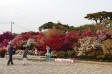 サムネイル地点画像01