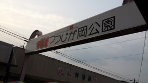 2014-05-03 17.57.39